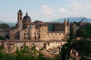 Urbino